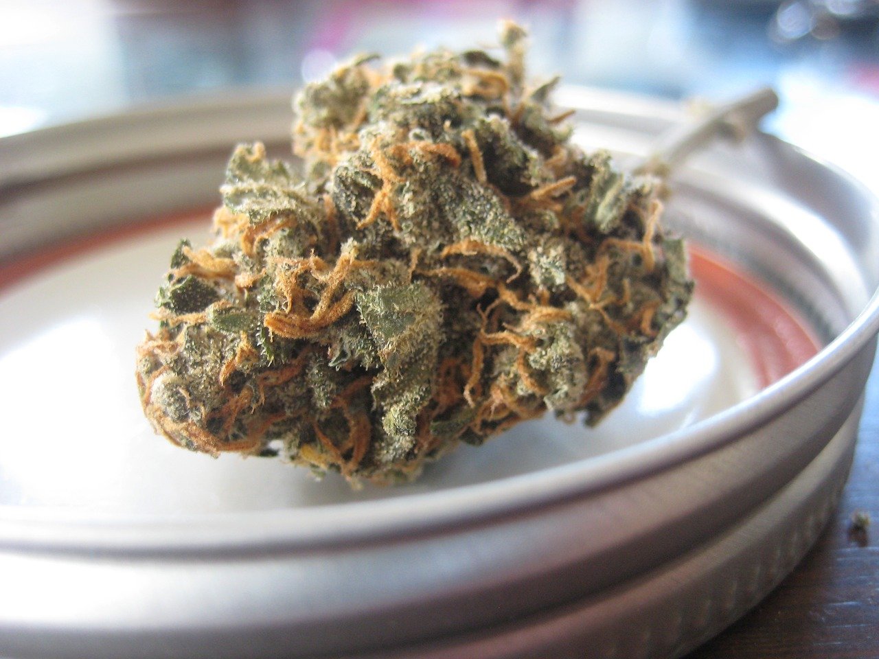 Se puede comprar la marihuana legalmente en espana 1