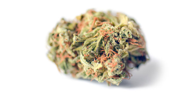 Todo sobre og kush 2
