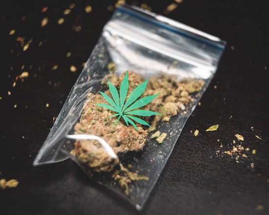 Todo sobre og kush 1